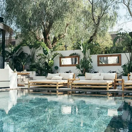 Primus Nefes Adult Only