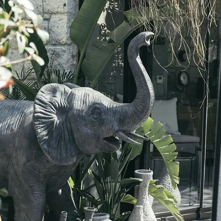 Hotel Primus Nefes Adult Only Alaçatı