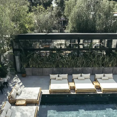 Primus Nefes Adult Only Alaçatı