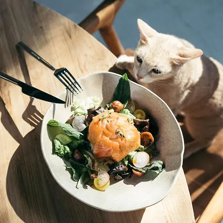 Primus Nefes Adult Only *