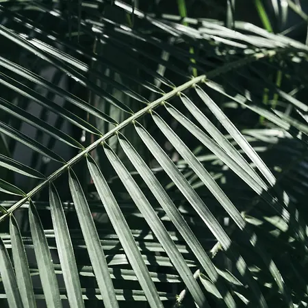 Primus Nefes Adult Only Hotel