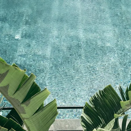 Primus Nefes Adult Only *