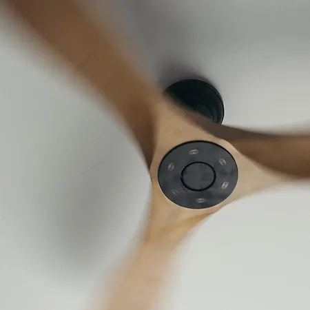 Primus Nefes Adult Only